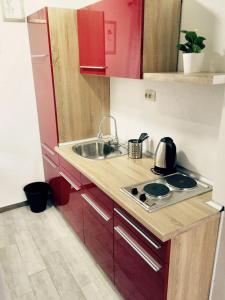 Η κουζίνα ή μικρή κουζίνα στο Charming Apartment in Oštarski Stanovi - Terrace