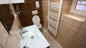 ein Badezimmer mit einem weißen Waschbecken und einer Toilette in der Unterkunft Kokavská izba - Apartmány in Kokava na Rimavica + 28 Fotos