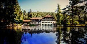 a large building sitting on top of a lake at Hotel Langenwaldsee in Freudenstadt