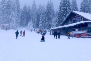 صورة لـ La Belle Vie في فارتوب