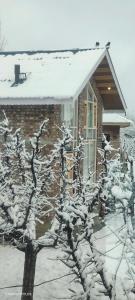 Το Countryside Cottage Gulmarg τον χειμώνα