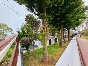 حديقة خارج Rock And Mist Munnar