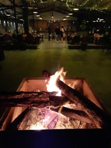 Foto dalla galleria di Hotel Chail Residency a Chail