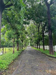 卡尔贾特Ivy Bliss Studio with Private Pool, B 13, Karjat的相册照片