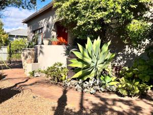 un jardín con plantas frente a una casa en NamaStay, en Ciudad del Cabo