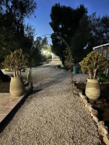 Zahrada ubytování B&B Villa Méditerranée con parking space