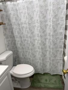 a bathroom with a toilet and a shower curtain at Fairbanks Rafiki Unit 2 in Fairbanks +23 photos