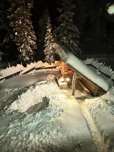 a slide in the snow with trees in the background at Rukanmetsä, cottage, Ruka in Rukatunturi 