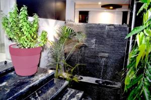 two plants in a pink pot sitting on some stairs at Hotel P S Villa & Banquet in Agra