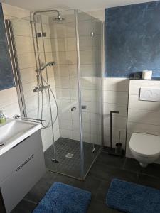 a bathroom with a shower with a toilet and a sink at Ferienwohnung Schieferglück in Gründau