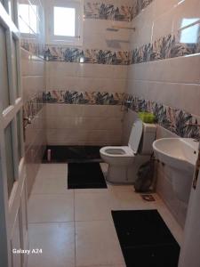 a bathroom with a toilet and a sink at Valencia Villa & Rooms in Luxor +16 photos
