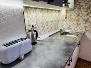 eine kleine Küche mit einer Spüle und einem Toaster in der Unterkunft The Riverside Harmony Sarajevo - Parking available - Walk everywhere in Sarajevo + 28 Fotos