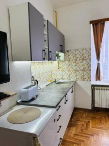 eine Küche mit Spüle und Arbeitsplatte in der Unterkunft The Riverside Harmony Sarajevo - Parking available - Walk everywhere in Sarajevo