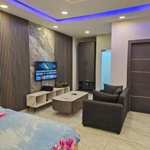 TV a/nebo společenská místnost v ubytování Hen-Cap Apartment Services