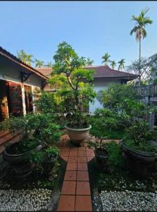 a garden with potted trees in pots in front of a house at Rose Homestay Hue in Thôn Kim Long (1) +28 photos