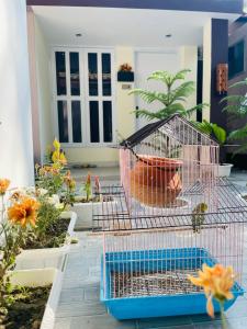 库克斯巴扎Sun Oasis Resort的鸟笼,坐在开满鲜花的庭院里 更多12张照片