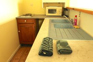 a kitchen counter with a sink and a microwave at Studio Rossignol in Pesmes