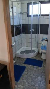 a bathroom with a shower and a toilet at Costa Monkul - Carahue y Puerto Saavedra in Nahuentúe