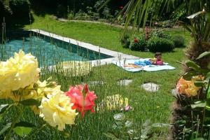 Jardí fora de Nice Appartment with Pool, Sauna and Garden