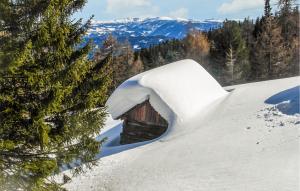 Nice Apartment In Weißpriach With Sauna v zimě