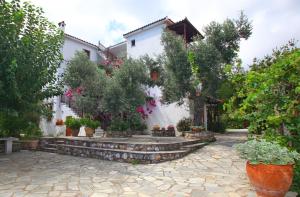 a courtyard of a house with trees and potted plants at Marlitsis Apartments & Studios in Skopelos Town