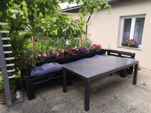 Zahrada ubytování Comfortable, family-friendly and top located