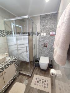 un bagno con doccia, WC e lavandino di Snow White Castle Apartment a Kiotari