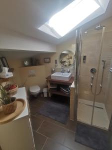 a bathroom with a shower and a sink at Ferienwohnung Uchtelfangen in Illingen