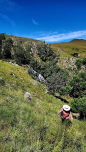 Φωτογραφία από το άλμπουμ του Farm Retreat in the Mountains σε Mount Sheba +43 φωτογραφίες