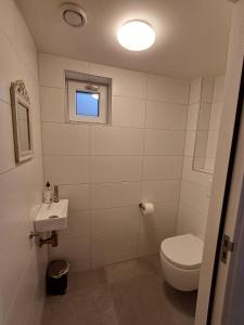 a bathroom with a toilet and a sink at De Eekhoorn in Ugchelen +23 photos