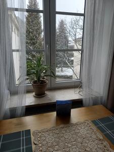 Fotografia z galérie ubytovania Studio Miodowa vo Varšave