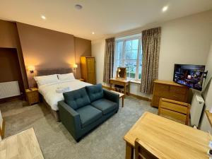 圣比斯Grindal Studio Apartments - Newly Opened Luxury Accommodation的一间带床、沙发和电视的酒店房间