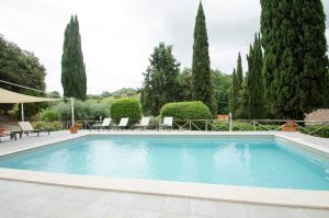 una grande piscina con sedie e alberi di Casa Febea a Chiusi