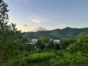 Φυσικό τοπίο κοντά σε αυτό το δωμάτιο σε οικογενειακή κατοικία +68 φωτογραφίες