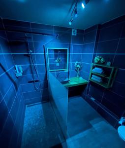 a blue bathroom with a shower and a sink at Air Bey Penthouse in Brussels +9 photos
