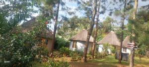 two thatched cottages in a forest with trees at BN Private Beach & Resort - Jinja in Jinja