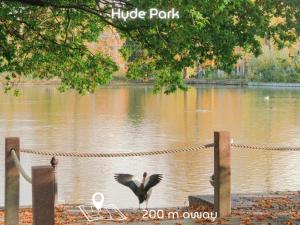 Výhled na řeku, která protéká v blízkosti hotelu