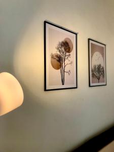 Φωτογραφία από το άλμπουμ του Grania Homestay σε Margasari