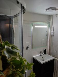 a bathroom with a sink and a mirror at Le Terminus, Proche gare et centre-ville in Amboise