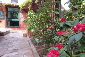a garden with pink flowers in front of a house at Strandhaus Möve in Wustrow
