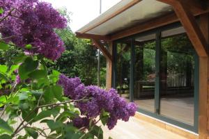a house with purple flowers on a wooden deck at Strandhaus Möve in Wustrow