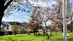 Zahrada ubytování Traunsee Apartment 60 m2
