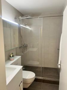 BinningenにあるGreen Basel Homeのトイレとガラスのシャワー付きのバスルーム +9枚の写真