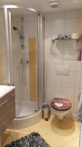 a bathroom with a shower and a toilet and a sink at Thalerhof in Roppen
