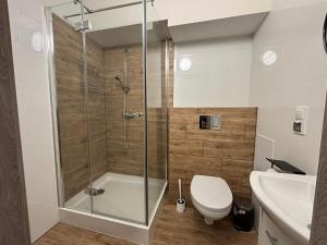 une salle de bain avec douche et toilettes dans l'établissement Apartamenty w centrum Głogowa, à Głogów