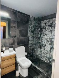 un bagno con wc e doccia di City Loft 4 Stamatina's Luxury Apartments a Alexandroupoli