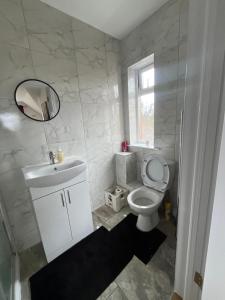 a bathroom with a toilet and a sink and a mirror at Luxury Coastal Retreat, Sleeps 6, Free WiFi, Free Parking, Detached in Donaghadee +20 photos