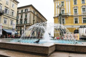 Bazén v ubytování Riva Rooms nebo v jeho okolí
