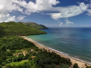 an aerial view of a beach and the ocean at Casa Ola, luxurious jungle house in El Valle