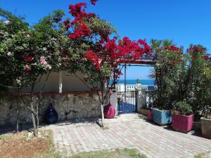 Gallery image of Splendida casa vista mare a Peschici in Peschici +129 photos